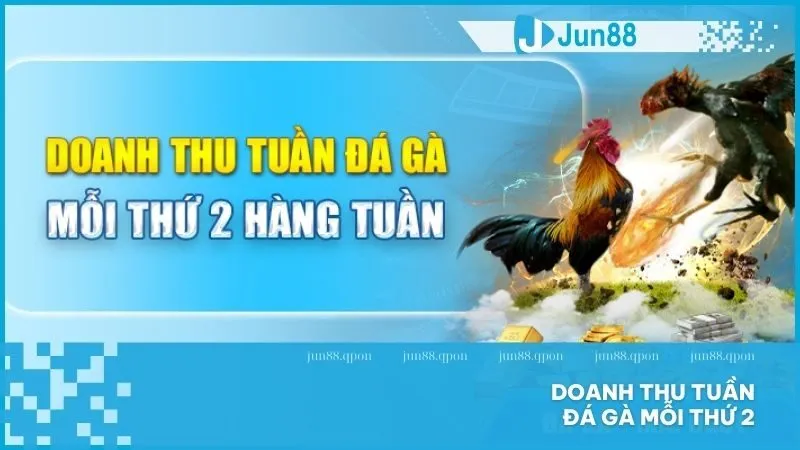 Người chơi đá gà nhận hoàn trả doanh thu đầu tuần