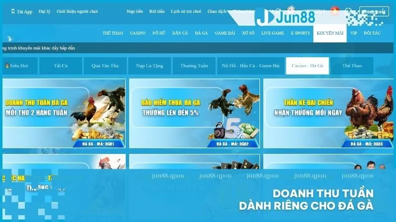 Doanh thu tuần dành riêng cho Đá Gà