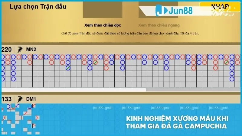 Kinh nghiệm xương máu khi tham gia đá gà Campuchia 